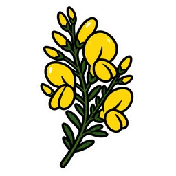 Broom