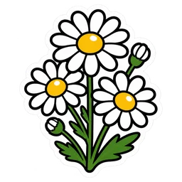 Chamomile