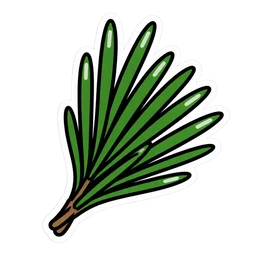 Pine needle
