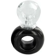Bijan Black for Women perfume bottle