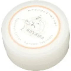 Menard aoyama - Japanese Citrus / Agrumes Japonais / あおやま - 柚子の香り (Solid Perfume) parfüm şişesi