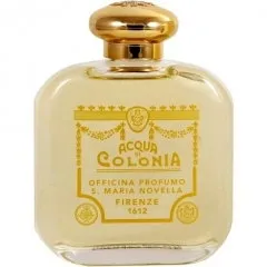 Santa Maria Novella Fieno parfüm şişesi