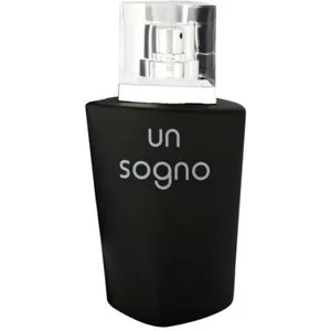 Dina Cosmetics Un Sogno pour Homme parfüm şişesi