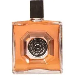 Denim Temptation (After Shave) parfüm şişesi
