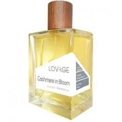 Lovage Cashmere in Bloom parfüm şişesi