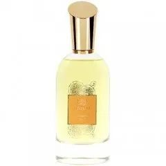 Lootah Immerse perfume bottle