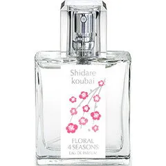 Floral 4 Seasons Shidarekoubai / しだれ紅梅 parfüm şişesi