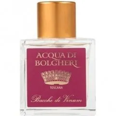 Dr. Taffi Acqua di Bolgheri - Bacche di Vinum perfume bottle