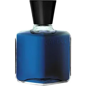 Roberto Capucci Blu Water (Eau de Parfum) perfume bottle