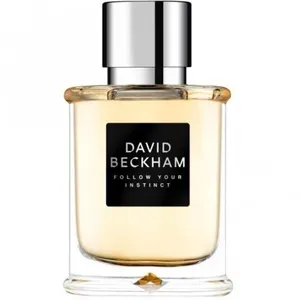 David Beckham Follow Your Instinct (Eau de Toilette) perfume bottle