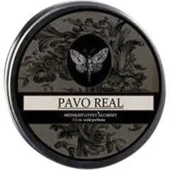 Midnight Gypsy Alchemy Pavo Real (Solid Perfume) parfüm şişesi