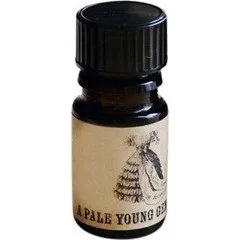Arcana Wildcraft A Pale Young Gentleman parfüm şişesi