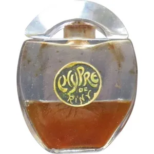 Riny Chypre parfüm şişesi