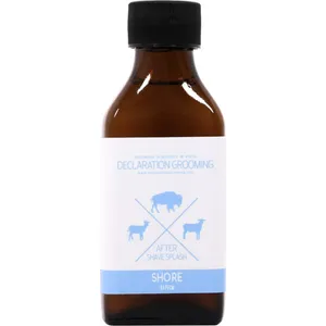 Declaration Grooming Shore parfüm şişesi