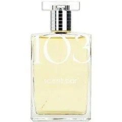 Scent Bar 103 parfüm şişesi