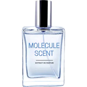 Pocket Scents Molecule Scent parfüm şişesi