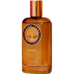 DiVina Terra Fortuna perfume bottle