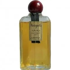 Carnaud Narcyolis Extrait 90° parfüm şişesi