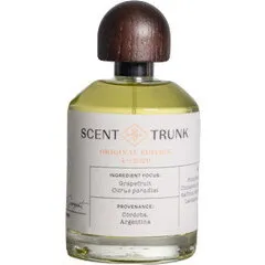 Scent Trunk Grapefruit / April 2020 perfume bottle