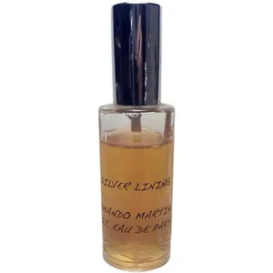 Parfums d'Armando Martinez Silver Lining perfume bottle
