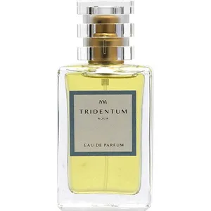 Tridentum Aqua parfüm şişesi