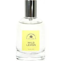 Agua de Baleares Balearic Elements - Wild Lemon parfüm şişesi