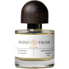 Scent Trunk Aquione perfume bottle