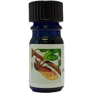 Possets Cicada parfüm şişesi