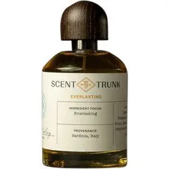 Scent Trunk Everlasting parfüm şişesi