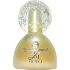 Aigner Xi Ignis perfume bottle