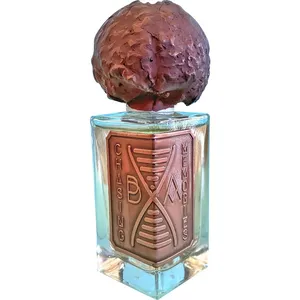 Broken Anatomy Perfumes Chasing Memories perfume bottle