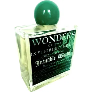 Ghost Ship Wonders of the Invisible World parfüm şişesi