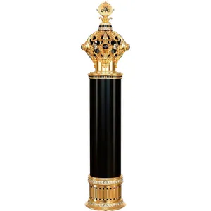 Amaffi Power for Men perfume bottle
