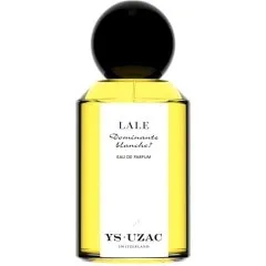 YS Uzac Lale - Dominante Blanche? parfüm şişesi