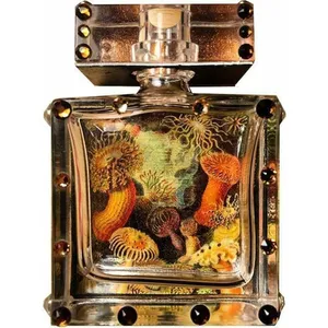 Meleg Perfumes Pacific Marine parfüm şişesi