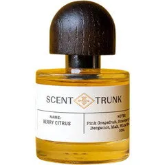 Scent Trunk Berry Citrus parfüm şişesi