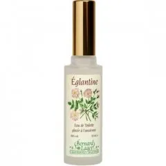 Bernard Laget Eau de Rose Sauvage / Églantine parfüm şişesi
