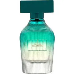 Mercadona My Soul Enchanted for Him perfume bottle
