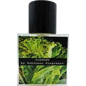 Bahfamsn Fragrance Scarlet parfüm şişesi