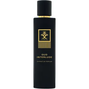 Fanette Oud Interlude perfume bottle