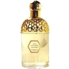 Guerlain Aqua Allegoria Lilia Bella parfüm şişesi