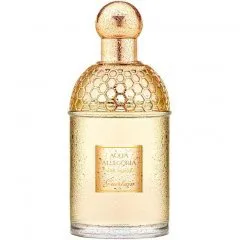 Guerlain Aqua Allegoria Tiaré Mimosa parfüm şişesi