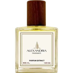 Alexandria Fragrances Mr.Roboto parfüm şişesi