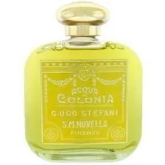Santa Maria Novella Verbena parfüm şişesi