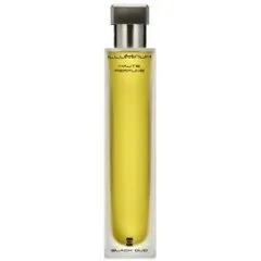Illuminum Black Oud parfüm şişesi