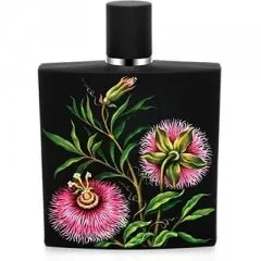 Nest Passiflora parfüm şişesi
