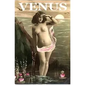 Opus Oils Divine - Venus (Eau de Toilette) parfüm şişesi