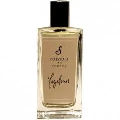 Fueguia 1833 Magallanes parfüm şişesi