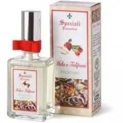 Speziali Fiorentini Liquirizia e Mandarino parfüm şişesi
