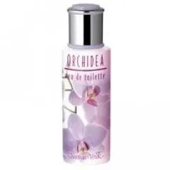 Bottega Verde Orchidea parfüm şişesi